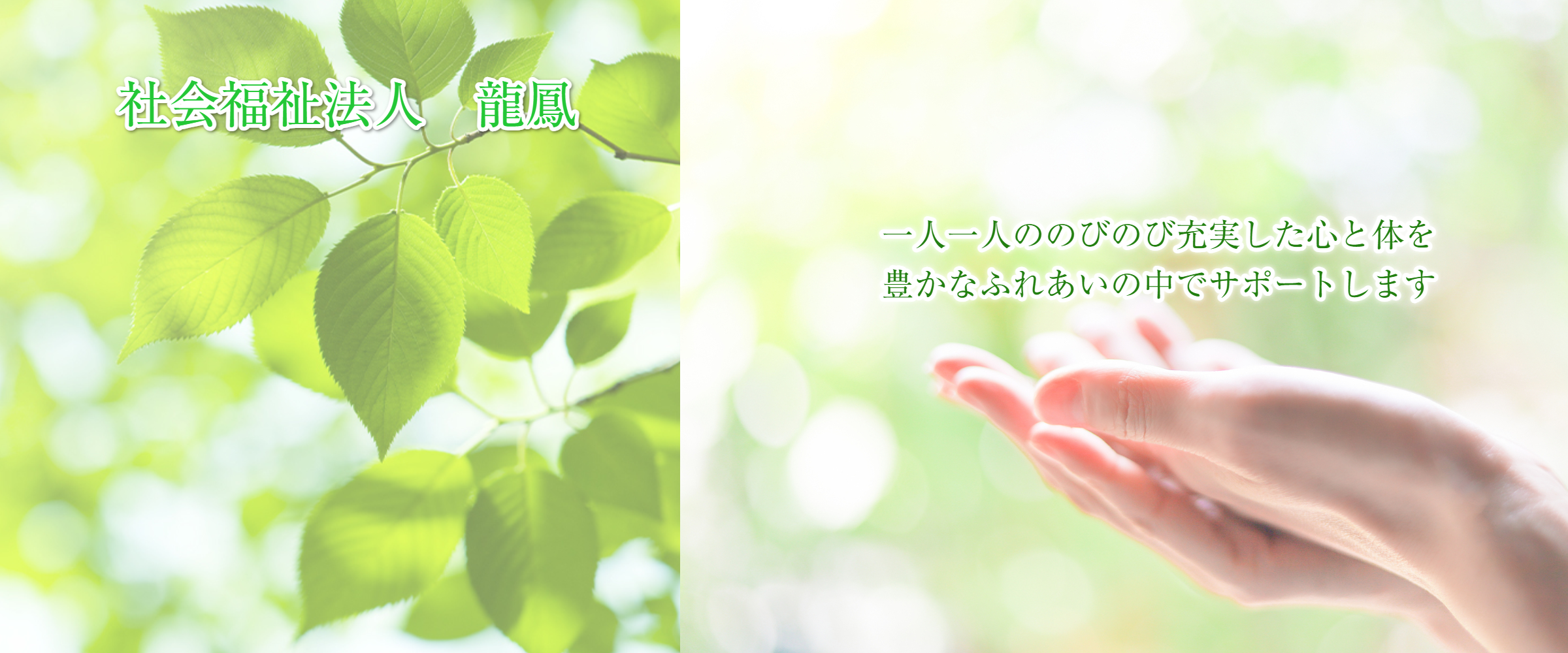 東京都の知的障害者入所施設・ショートステイ・就労支援なら社会